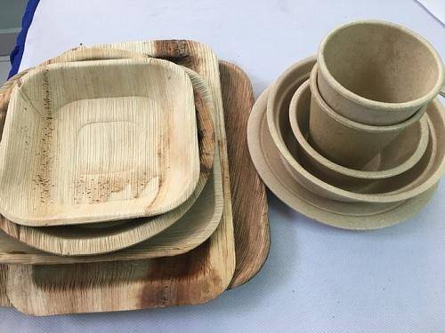 Eco-Friendly Areca Leaf Products from Vietnam | FOB Export Supplier