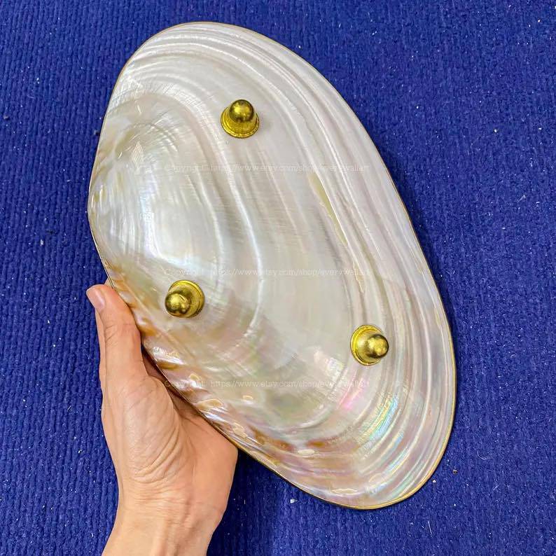 Mother-of-Pearl Shell Plates: Vietnam’s Natural Luxury Tableware for Global Markets