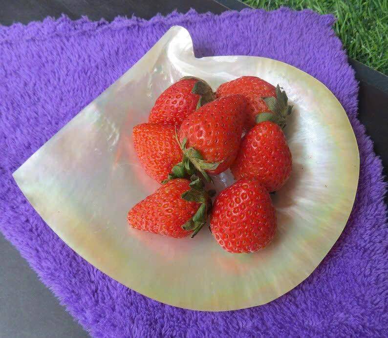 Mother-of-Pearl Plates: Artistic & Refined Tableware from Vietnam