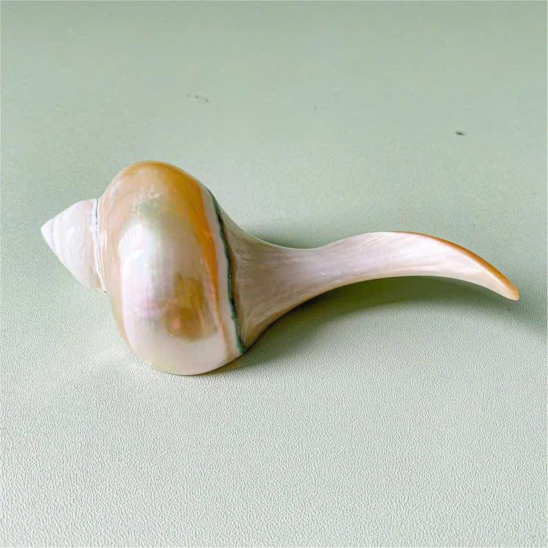 Seashell Chopstick Rests: Artistic & Elegant Table Accents from Vietnam