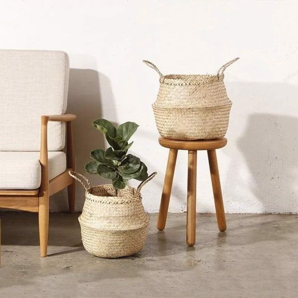 Seagrass Plant Basket Natural Décor for Modern Green Living
