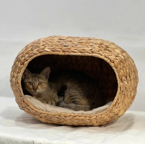 Vietnamese Water Hyacinth Pet Beds - Cozy & Sustainable Comfort for Global Pet Markets