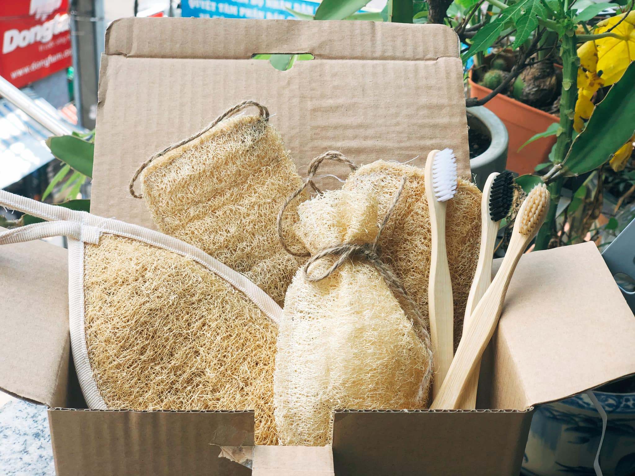 Vietnamese Loofah Sponges: Natural, Multi-Purpose Products for Global Sustainable Living