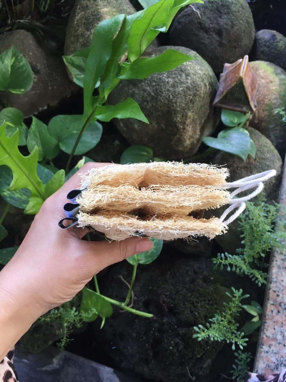 Vietnamese Loofah Sponges: Natural, Multi-Purpose Products for Global Sustainable Living