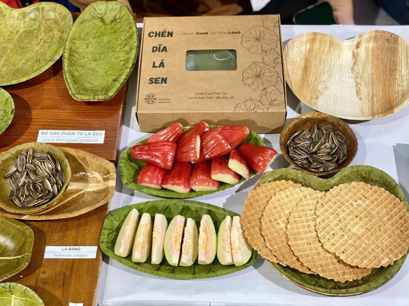 Eco-Friendly Leaf Tableware from Vietnam – Sustainable Solutions for Global Markets