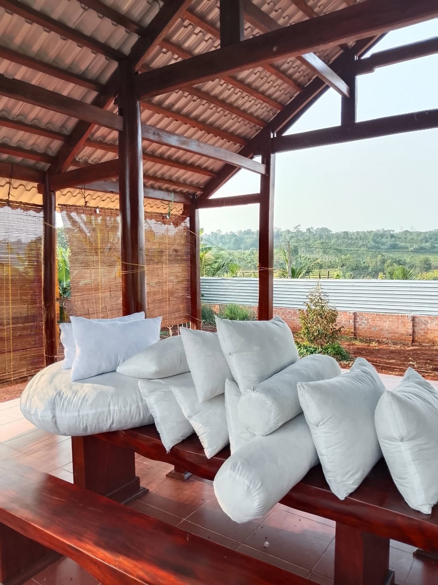 Natural Kapok Fiber: Vietnam’s Sustainable “Silk Cotton” to the World