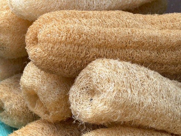 NATURAL LOOFAH (LUFFA)
